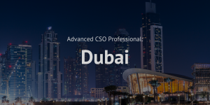 Advanced Chief Sustainability Officer (CSO) Professional training course Dubai