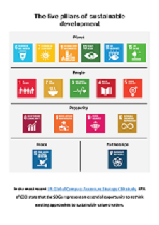 Sustainable Development Goals (SDGs) and the new business paradigm for growth