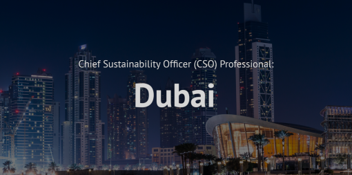 Chief Sustainability Officer (CSO) Professional Training course Dubai