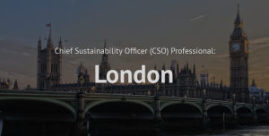 Chief Sustainability officer (CSO) Professional training course London
