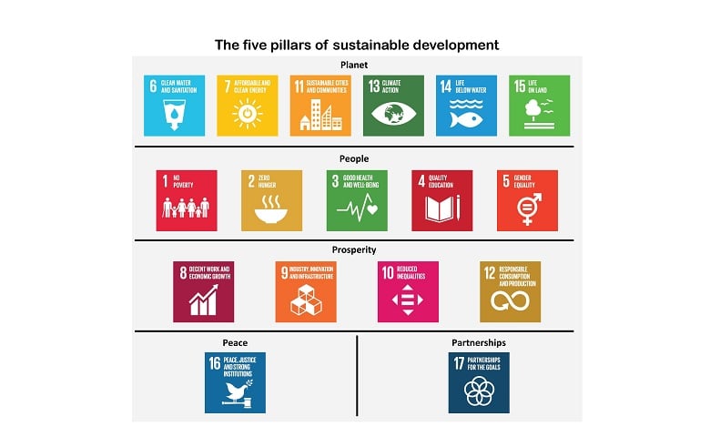 Sustainable Development Goals (SDGs) and the new business paradigm for growth