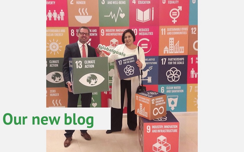 Sustainable Development Goals SDGs
