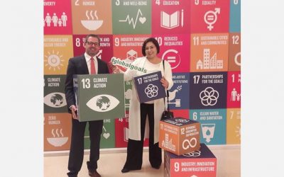 Which benefits can the alignment with the SDGs bring to your organization?