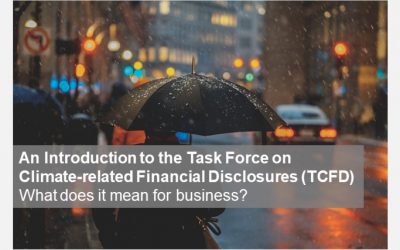 An Introduction to the Task Force on Climate-related Financial Disclosures (TCFD): What does it mean for business?