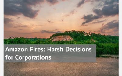 Amazon Fires: Harsh Decisions for Corporations
