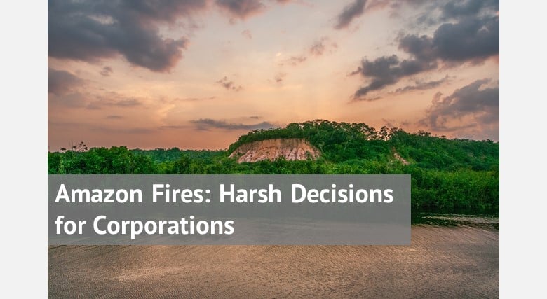 Amazon Fires: Harsh Decisions for Corporations