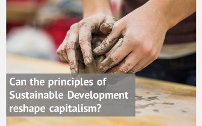 Can the principles of Sustainable Development reshape capitalism?