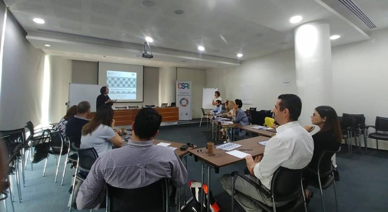 Sustainability Knowledge Group successfully delivered the Chief Sustainability Officer (CSO) Professional course in Cyprus!