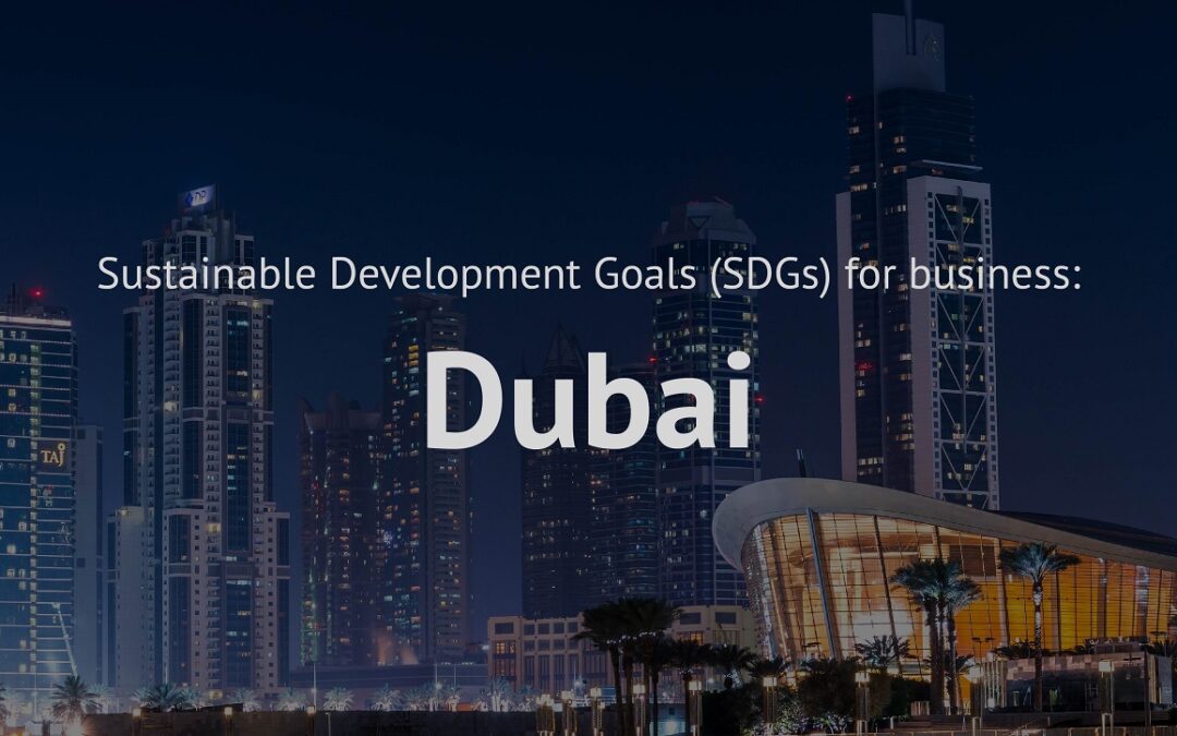 Sustainable Development Goals (SDGs) for business
