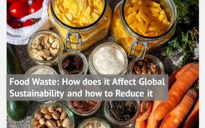 Food Waste: How does it Affect Global Sustainability and how to Reduce it