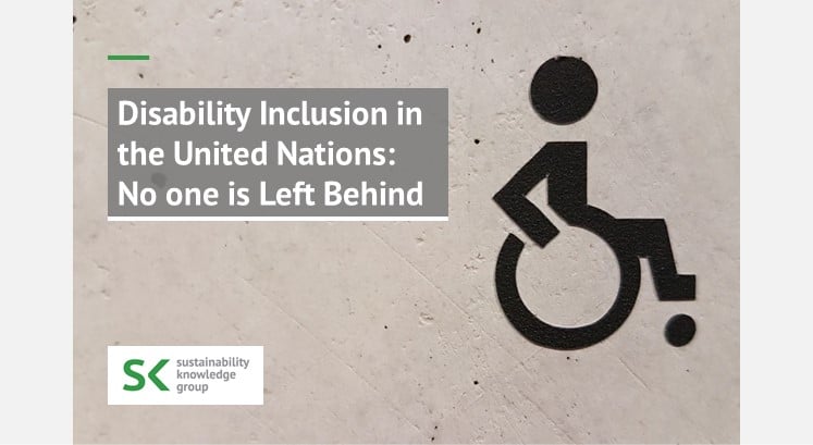 Disability Inclusion in the United Nations No one is Left Behind
