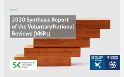 2020 Synthesis Report of the Voluntary National Reviews (VNRs)