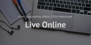 Chief Sustainability Officer (CSO) Professional_Live online