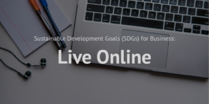 Sustainable Development Goals (SDGs) for Business_Live online