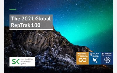 The 2021 Global RepTrak 100