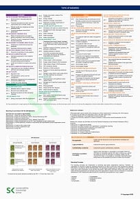 GRI Standards Reference Sheet – version 2024